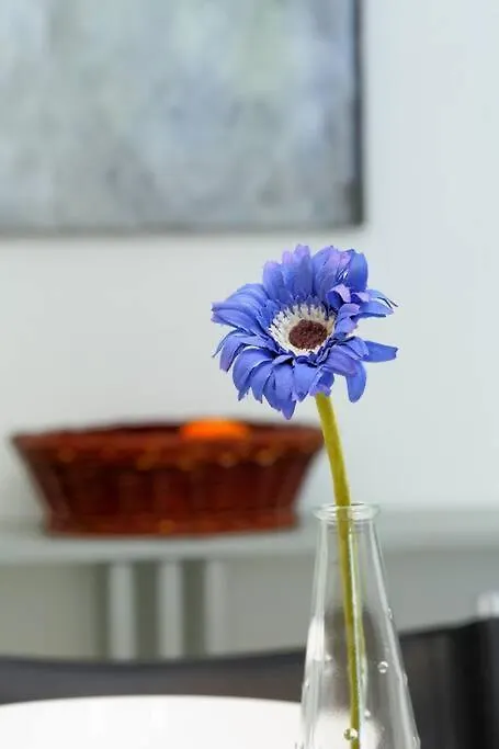 Budapest Vacation Boutique Apartment Hungria